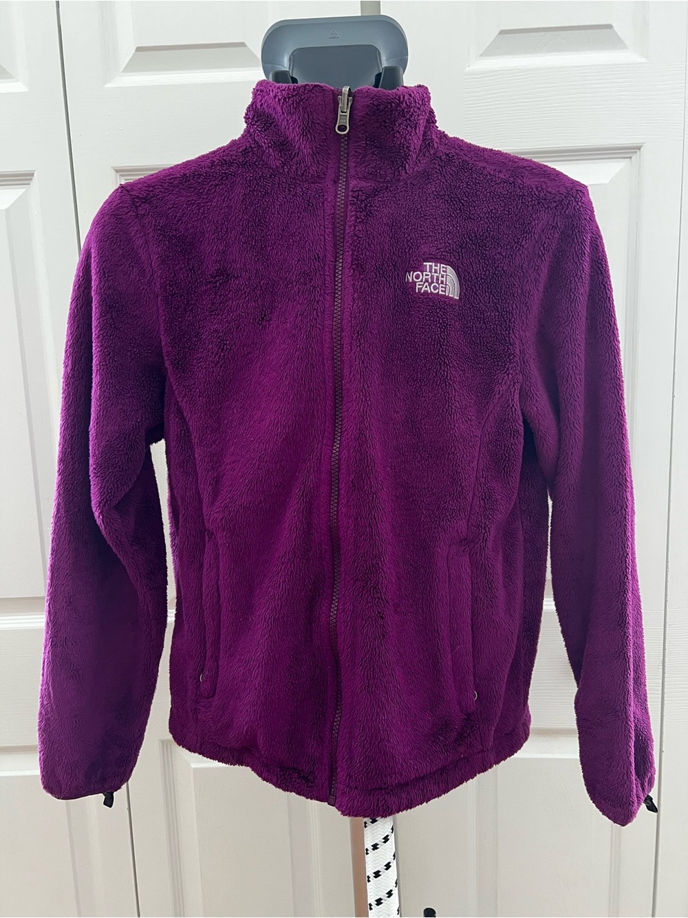 The North Face Kids Plum Fleece Jacket